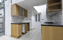 Combe Raleigh kitchen extension leads